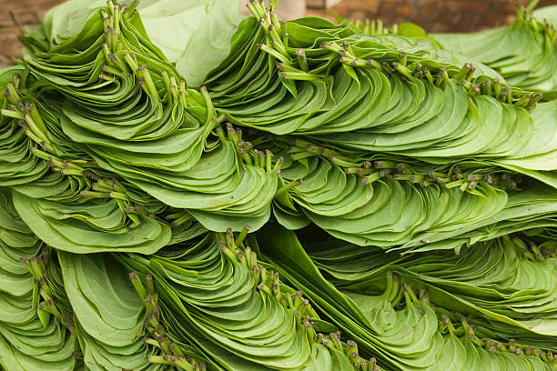 Maghai Paan